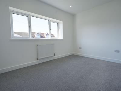 Picture 24